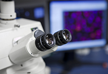 改委监控三类药价，成本价调查将启动