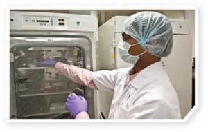 CellRep：古老病毒或可作为基因疗法的载体