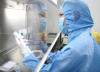 BE试验：如何提升试验成功率