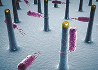 未来的药丸里，可能有一万亿个人工改造的细菌？