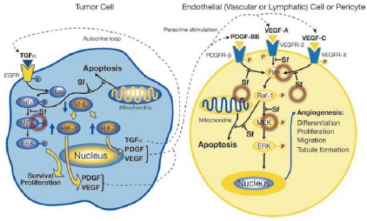 多靶点药物：创新药物设计的重要思路