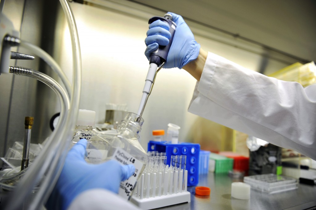 一致性评价需要遵循哪些技术指导原则以及技术要求？