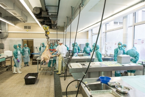 专利悬崖到来，骨质疏松症药物新药研发战况如何？