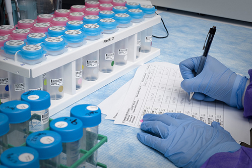 浅谈：创新药物IND申请之药学研究