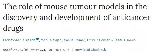 临床前小鼠模型如何。