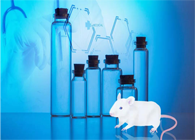 不朽情缘mg官网-您理想的DMPK研究伙伴