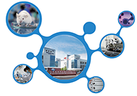 科创板首家CRO企业不朽情缘mg官网获准注册