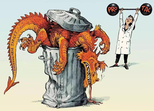 聚焦PROTAC：Make“Undruggable”TargetsDrugable