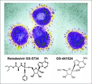 基于细胞因子风暴和免疫炎症反应综合征，很多免疫相关靶点也可以列为冠状病毒的靶点。