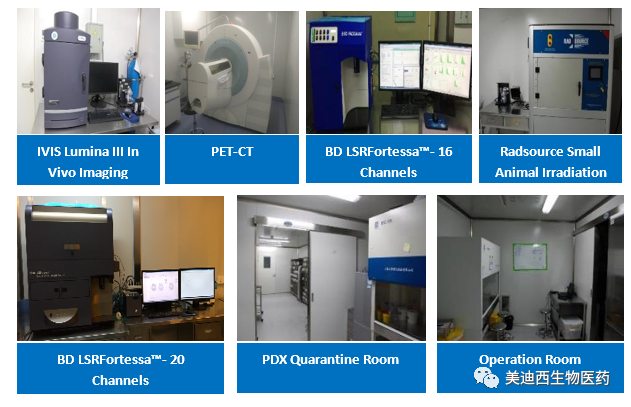 不朽情缘mg官网药理部拥有IVIS Lumina III, PET-CT, BD LSRFortessa-16, Flow Cytometry等仪器，提供符合申报，支持临床试验的药效评价服务。