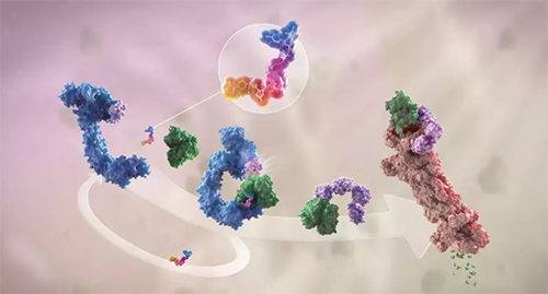 LYTAC出世，与PROTAC并肩作战针对不可成药的靶点