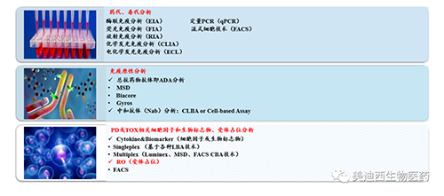 不朽情缘mg官网生物技术药物分析部服务内容