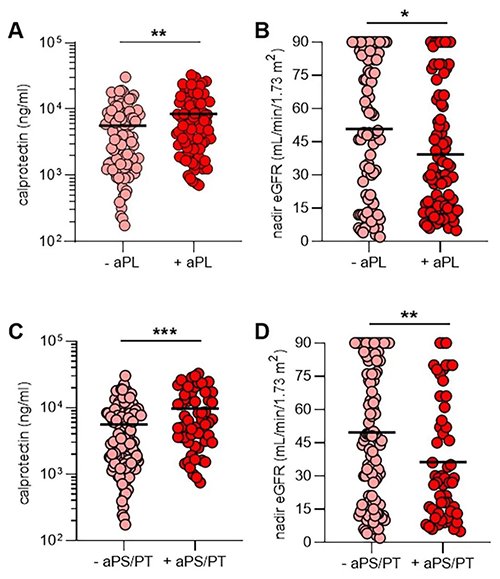 aPL抗体、NET释放和肾功能