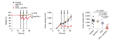 与对照组及仅使用PD-1疗法的模型小鼠对比，采用短期饥饿配合PD-1疗法的393P细胞同源移植肿瘤小鼠体内的肿瘤体积有了明显的收缩。