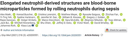 一种神秘颗粒被发现了 ！它能否成为败血症早筛标志物？