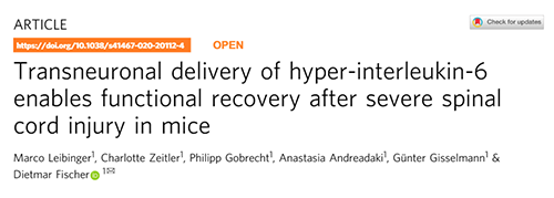 Nature：还瘫痪患者一个自由身的日子不远了