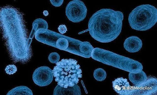 20分钟，大多数细菌都可以繁衍一代 不朽情缘mg官网生物医药