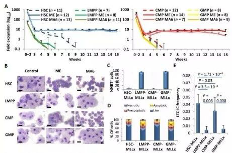 Science子刊：一种FDA批准的抗腹泻药物可有效对抗化疗的耐药性 不朽情缘mg官网生物医药
