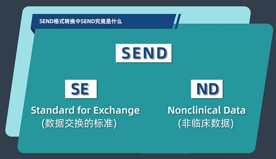 SEND格式转换中的SEND究竟是什么？