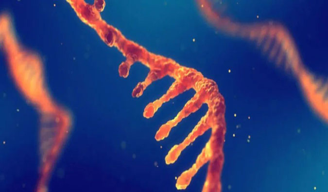 赋能核酸药物疗法，迎接新药研发第三次浪潮