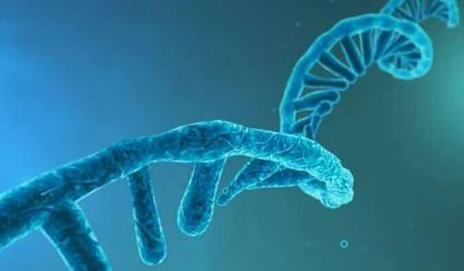 美研丨寡核苷酸药物市场前景、发展挑战及应对策略