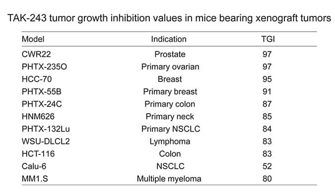 TAK-243是一种有效的泛素激活酶小分子抑制剂，具有体内抗肿瘤功效，通过不朽情缘mg官网使用HCC70模型进行