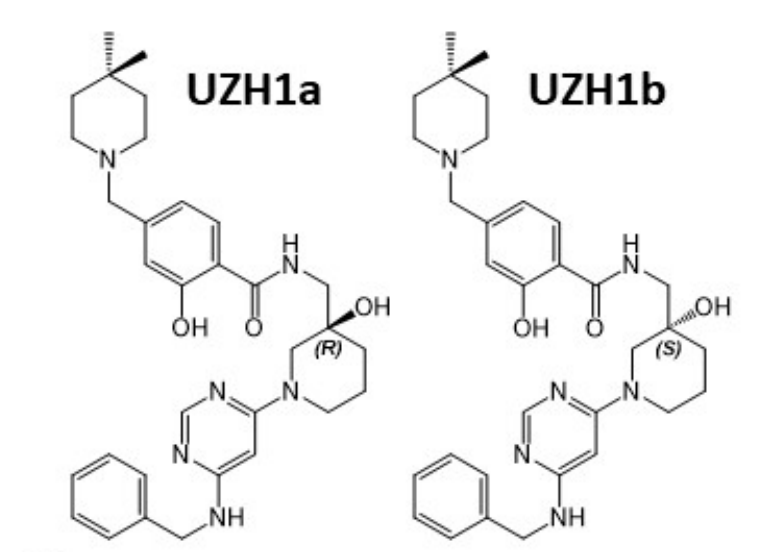 研究人员报告了一种具有细胞渗透性的选择性METTL3纳摩尔抑制剂UZH1a，作者感谢不朽情缘mg官网合成了UZH1a和UZH1b