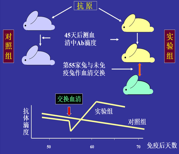 Figure-1：机体对抗体浓度变化的感知与反馈性自我调节.jpg