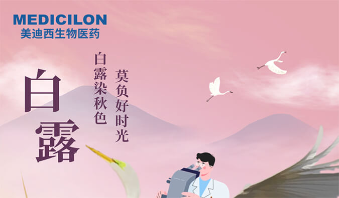 白露 | 白露染秋色，莫负好时光