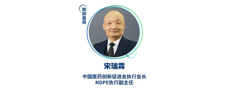 宋瑞霖--中国医药创新促进会执行会长、NDPE执行副主任.jpg