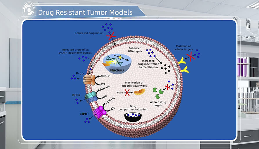 肿瘤耐药机制是什么？
