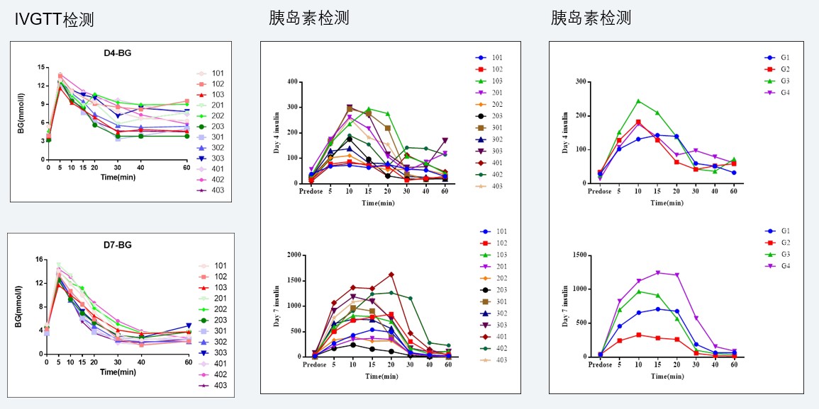 案例4：食蟹猴IVGTT和胰岛素检测实验.jpg