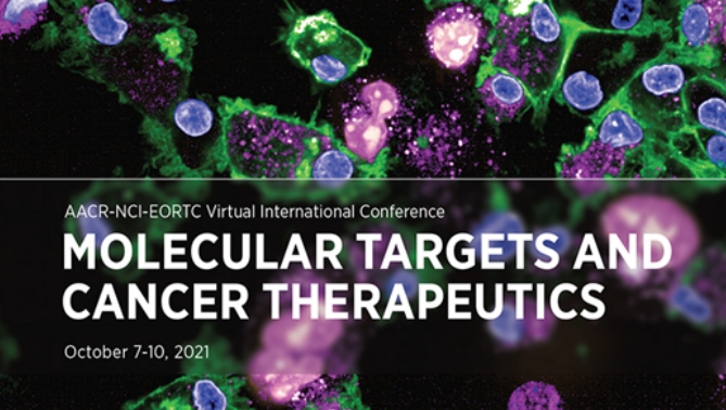 通过联合治疗提高免疫疗法疗效，本研究中临床前体内药效研究通过不朽情缘mg官网进行