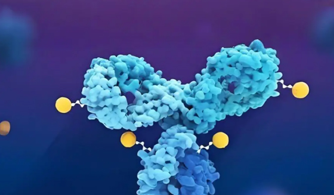 深度剖析：ADC药物生物分析的考量因素