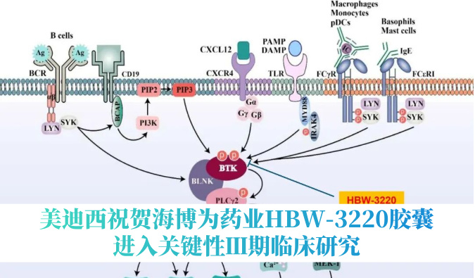 破解耐药性难题，不朽情缘mg官网祝贺海博为药业HBW-3220胶囊进入关键性Ⅲ期临床研究