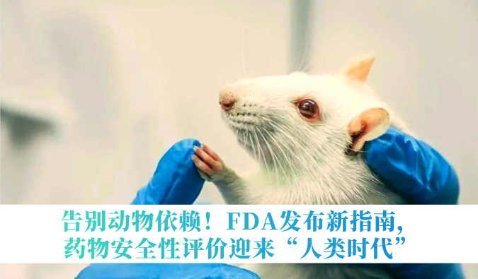 告别动物依赖！FDA发布新指南，药物安全性评价迎来“人类时代”